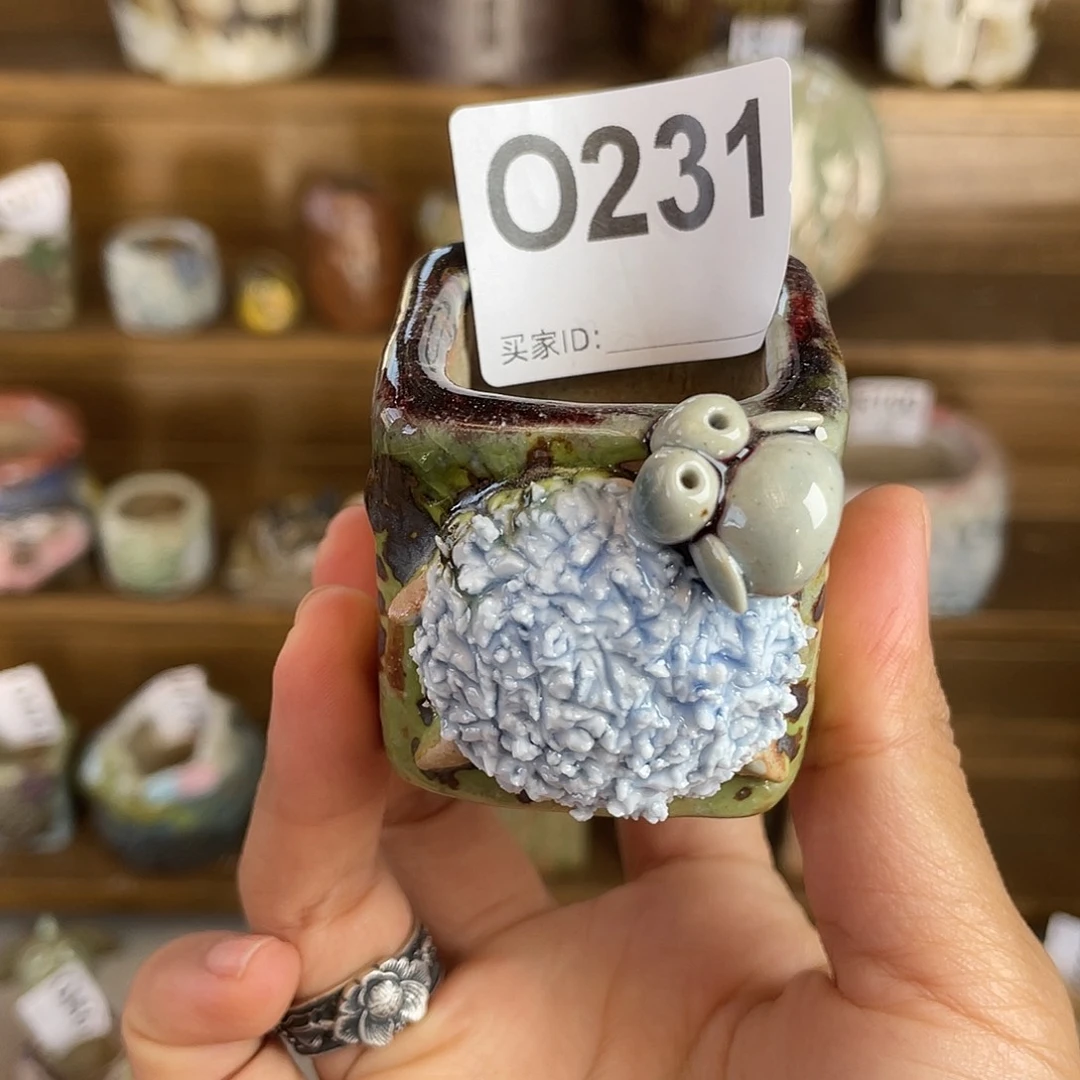 小白孤品 立体小羊方 内口3.2百搭