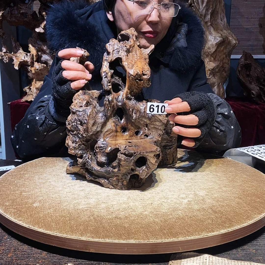 晴***子610。株木随行根艺