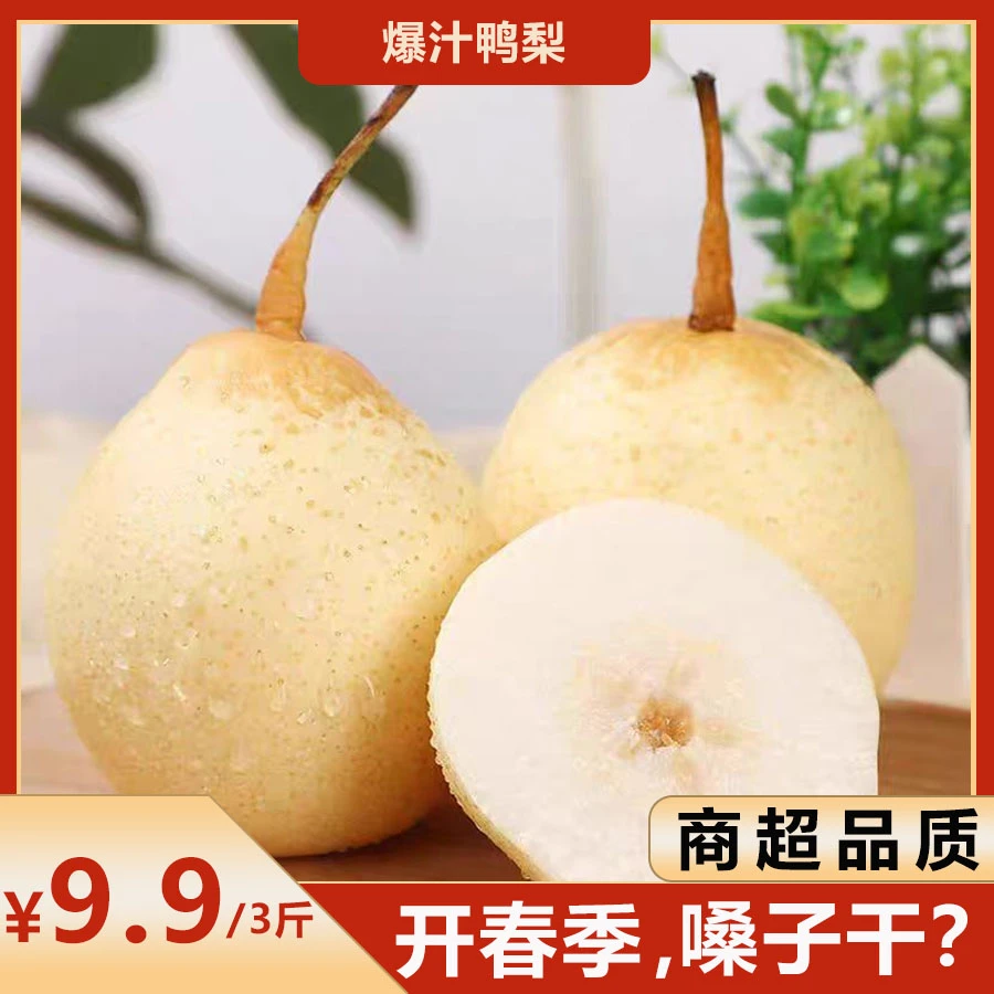 【尝鲜价】河北水晶鸭梨脆甜多汁果园产地直发新果3-5斤坏果包赔J