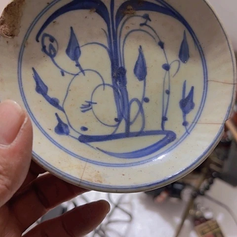 香榧木龙**庄Ghfgvgbfhvvv