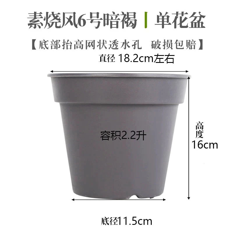 【爱丽思圆盆】朱顶红种植盆圆形花盆