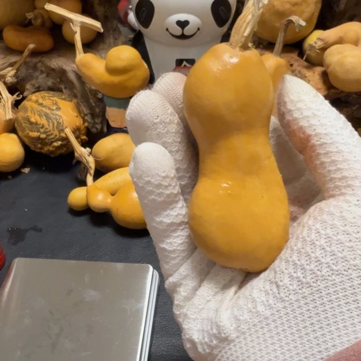 平***)66…………………………………………