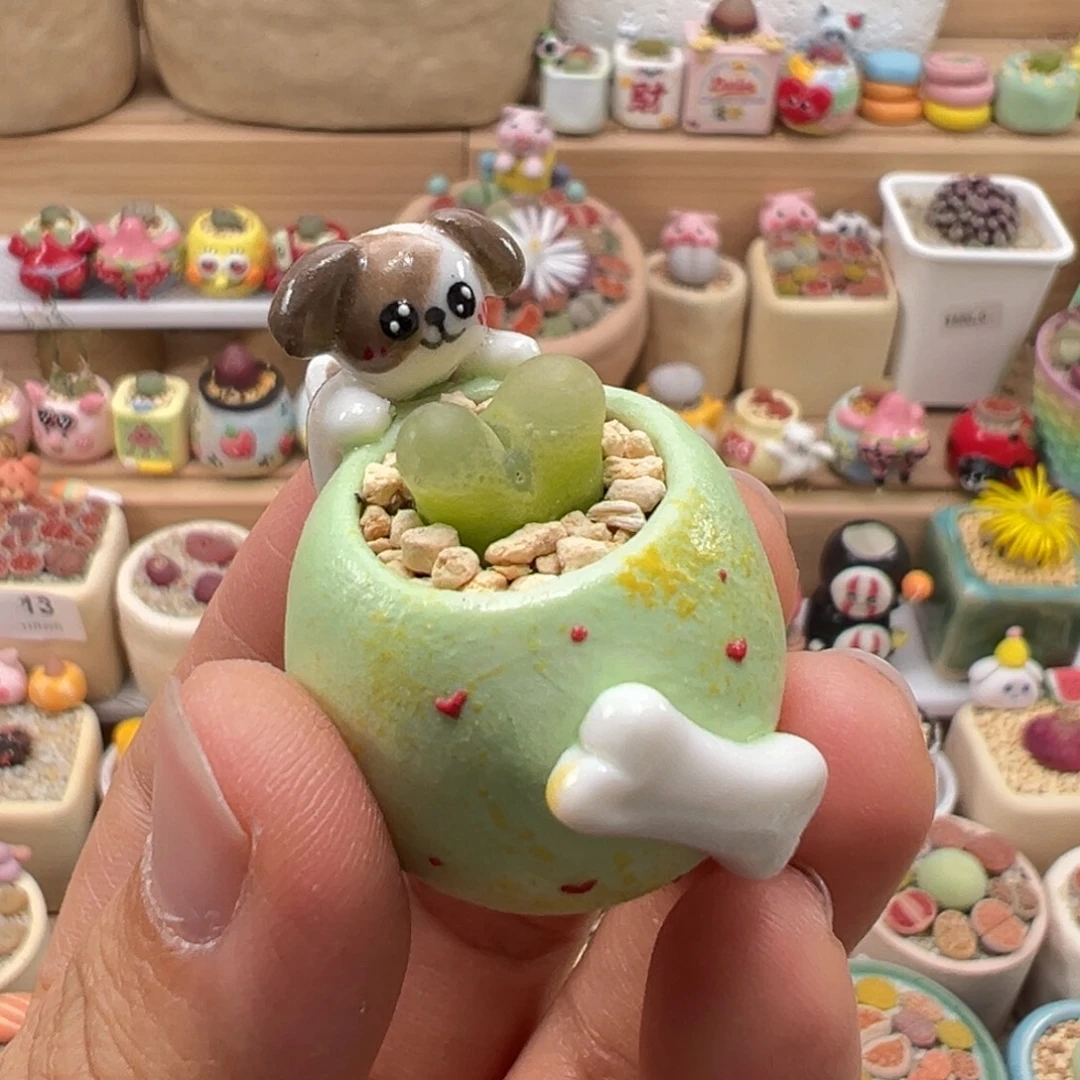 多肉植物83号拇指盆