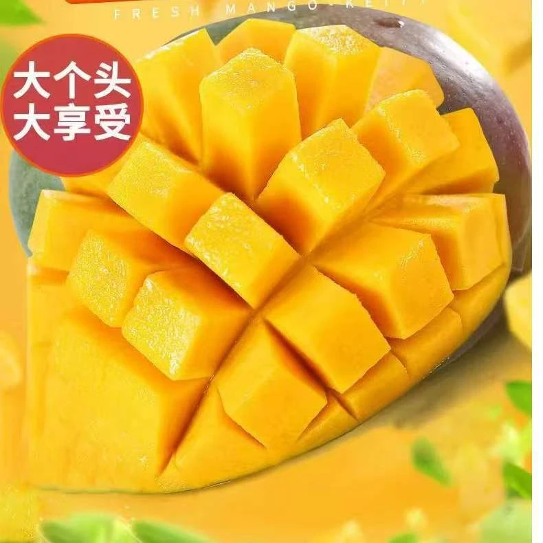 凯特芒果当即新鲜水果酸甜多汁核小肉多攀枝花发货带箱五斤4-6个