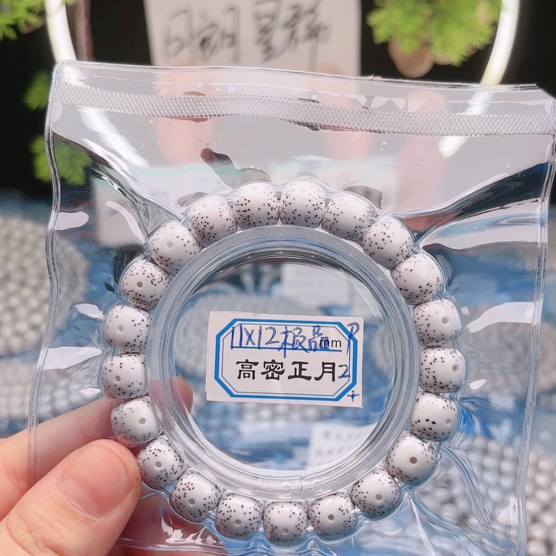 【闪购商品】菩提根/象牙果吊坠