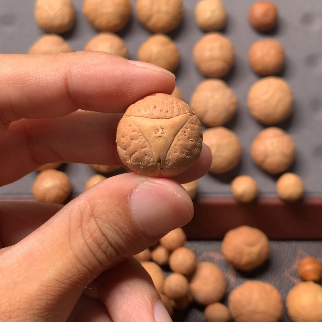 汇***楼吊坠凤眼菩提20.8mm尼泊尔大龙眼，打孔不退换