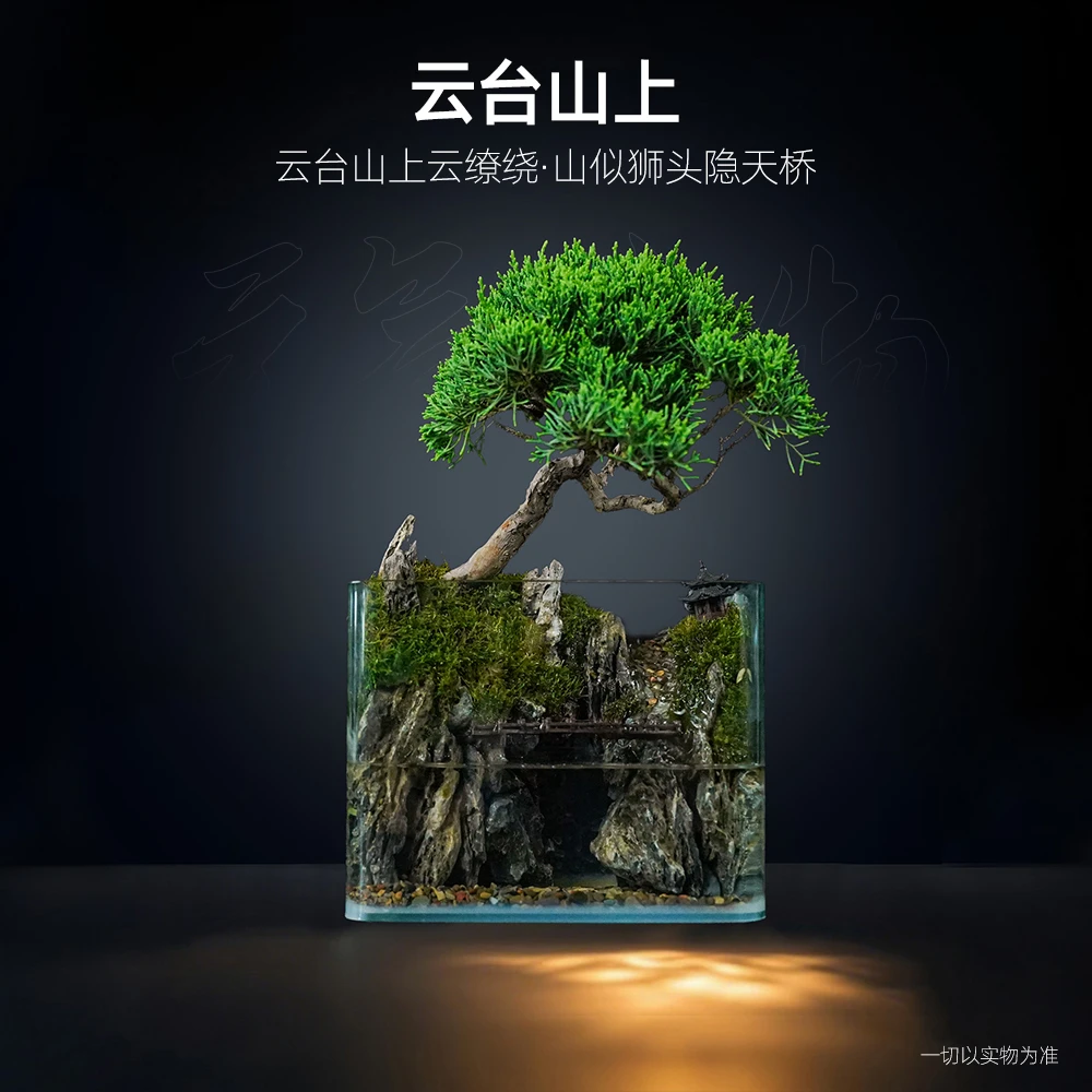 【雾隐】云台山上—循环流水生态山水济州真柏成品【尺寸：20*14*16】