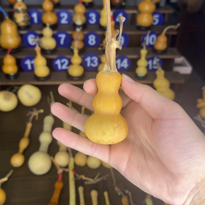 用***哥精品粗嘴翻嘴老皮八宝