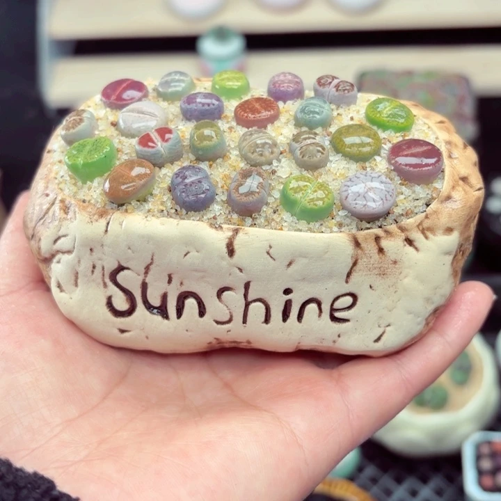 811零下地区记得拍保温箱