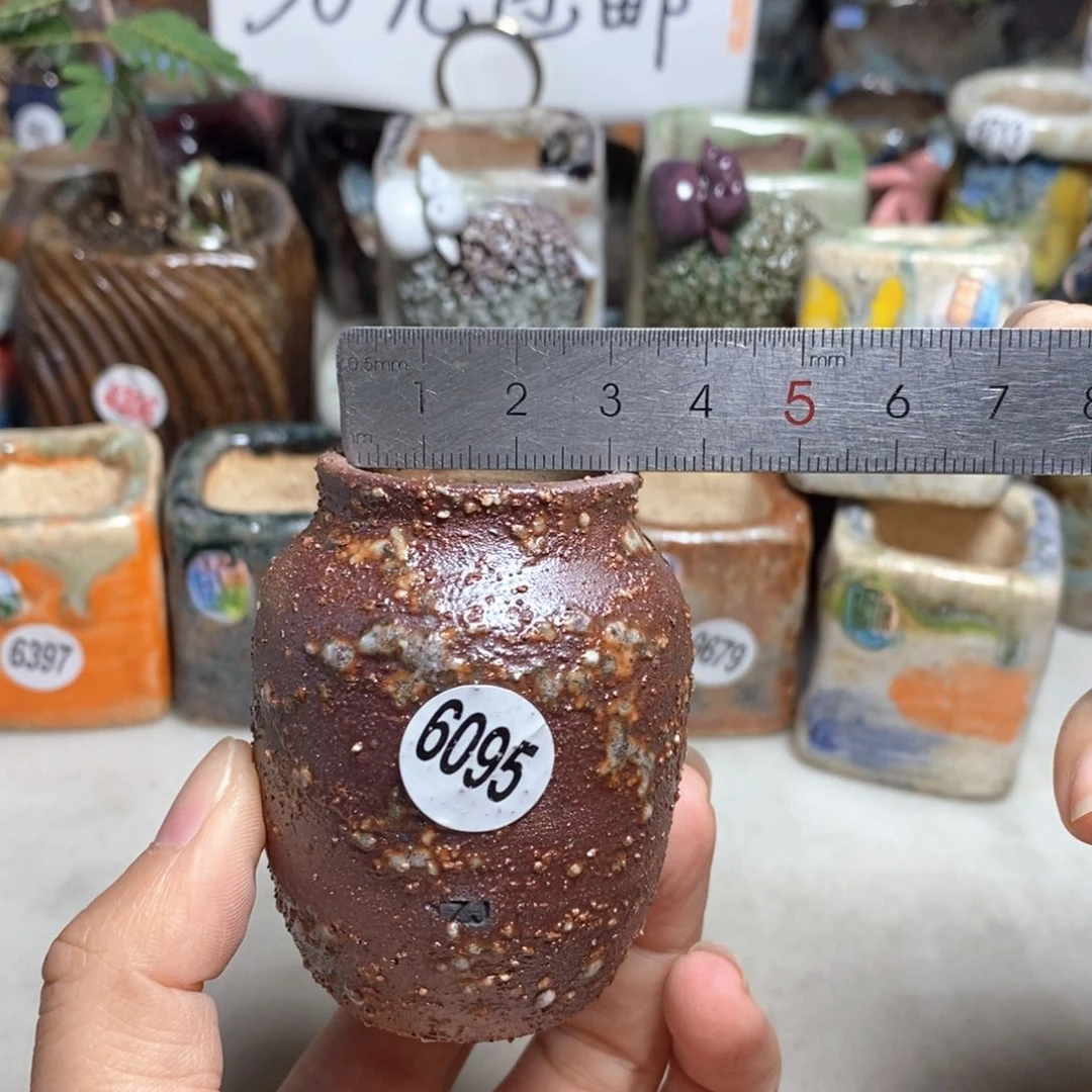 拍5送一个小礼物