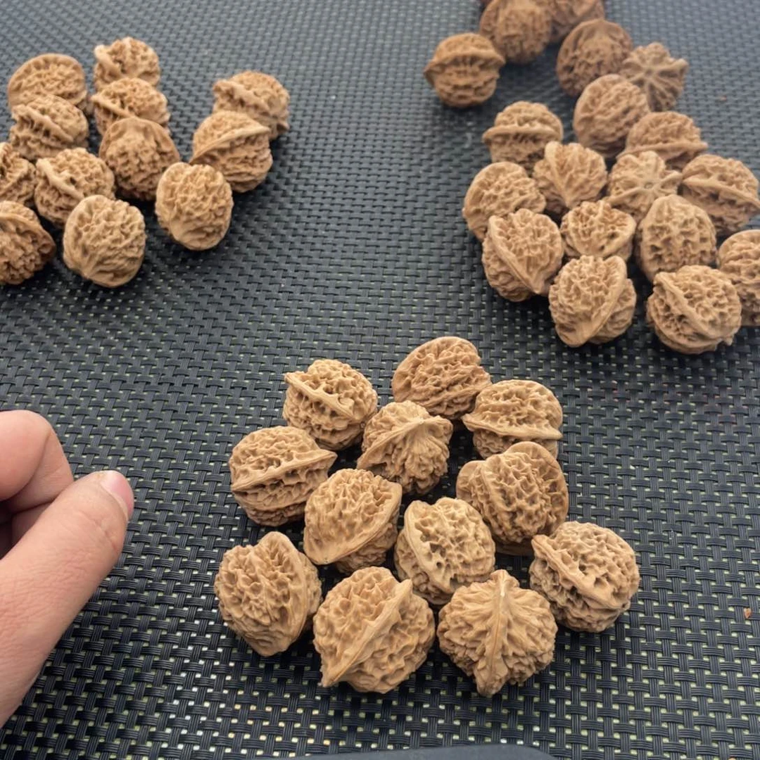 晓**三秦岭的小王秦闷手持13