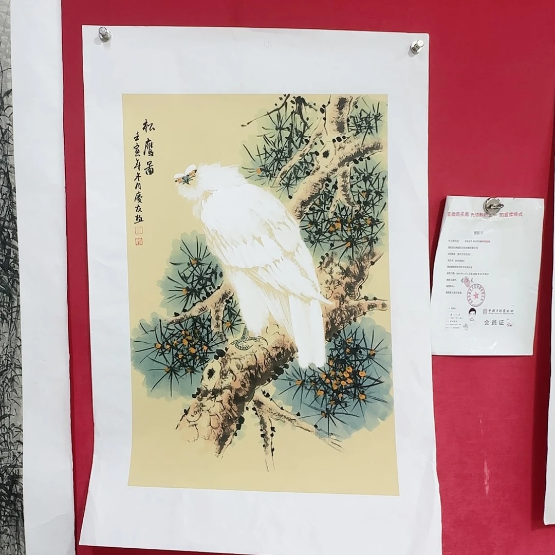 国画红皮书指出在这