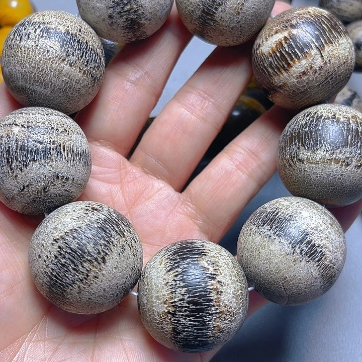 大果紫檀（缅甸花梨）