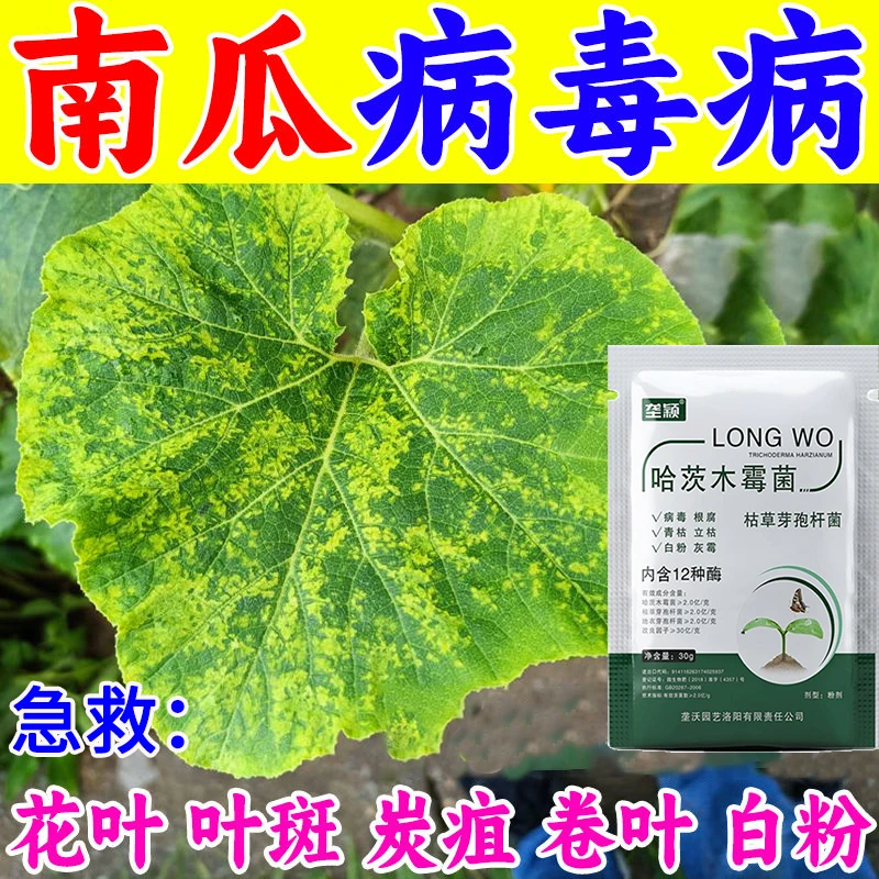 南瓜黄叶卷叶病花叶病毒病烂叶白粉白霜软腐蔓枯枯萎病专用叶面肥