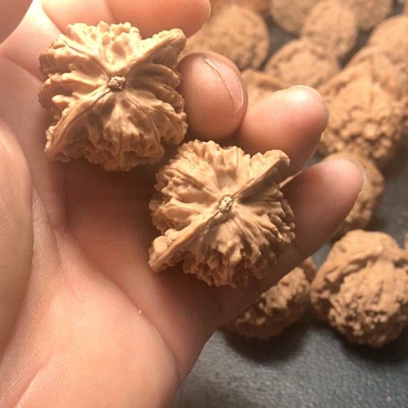 【闪购商品】用****9盘龙纹