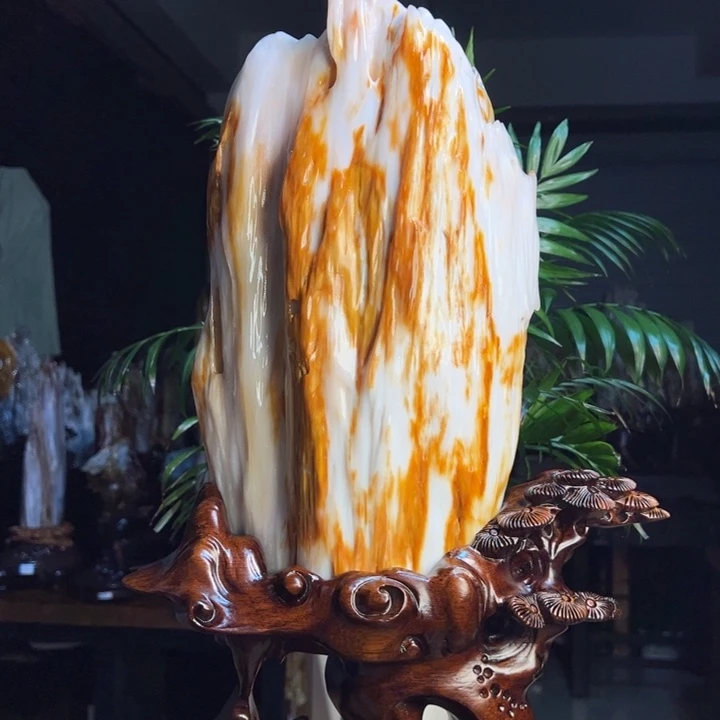 硅化玉（树化玉）未镶嵌珠宝奇石