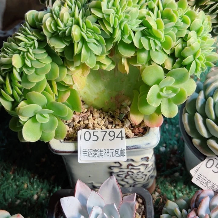 幸运的是我还没遇到过