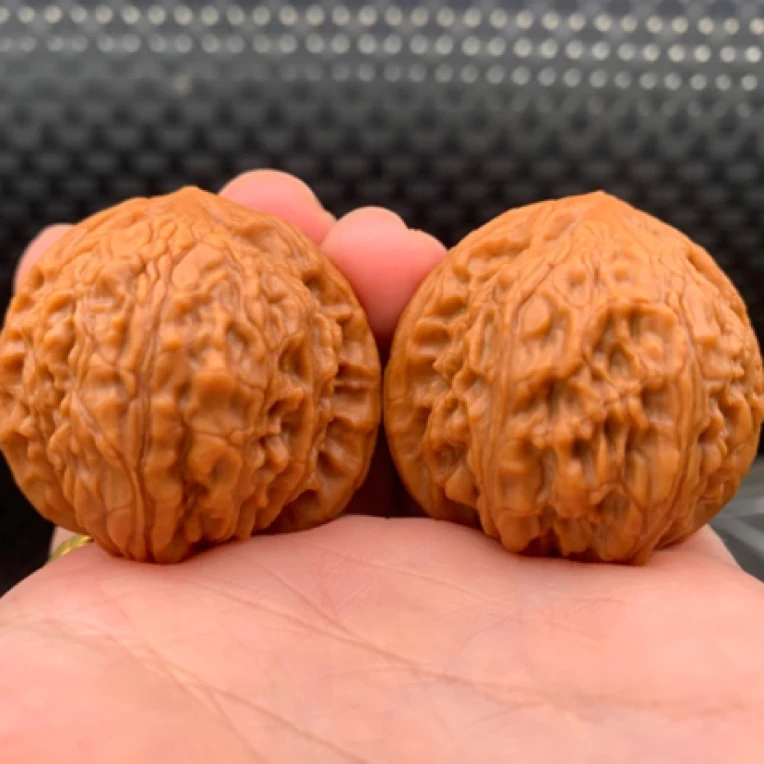 文玩核桃野生狮子头