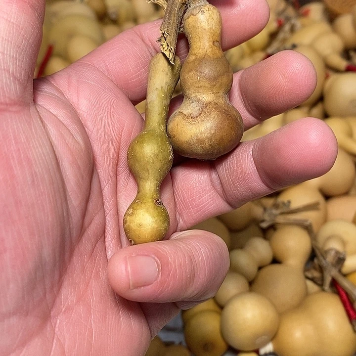 马**功精品葫芦手把葫芦79