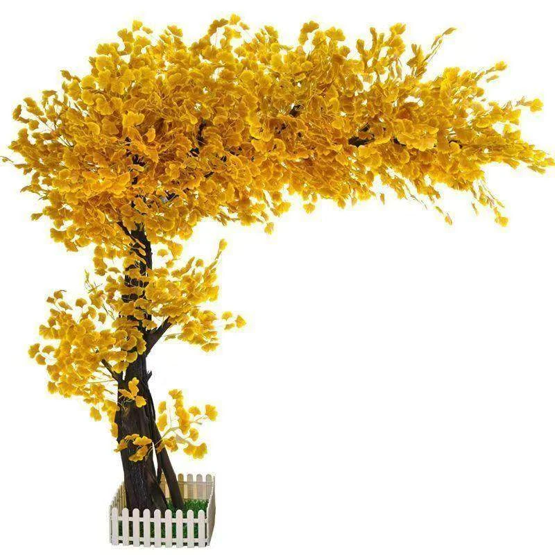 【一物一拍】盆栽地栽银杏树 基地直供✔ 各种苗木