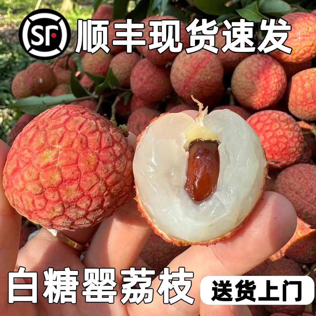 广西灵山白糖罂荔枝现摘现发清甜新鲜水果桂笑妃子味老树荔枝多汁