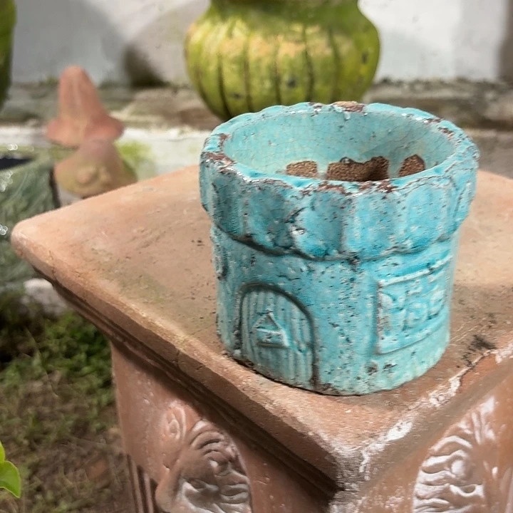 许纯的花房 蓝色盆