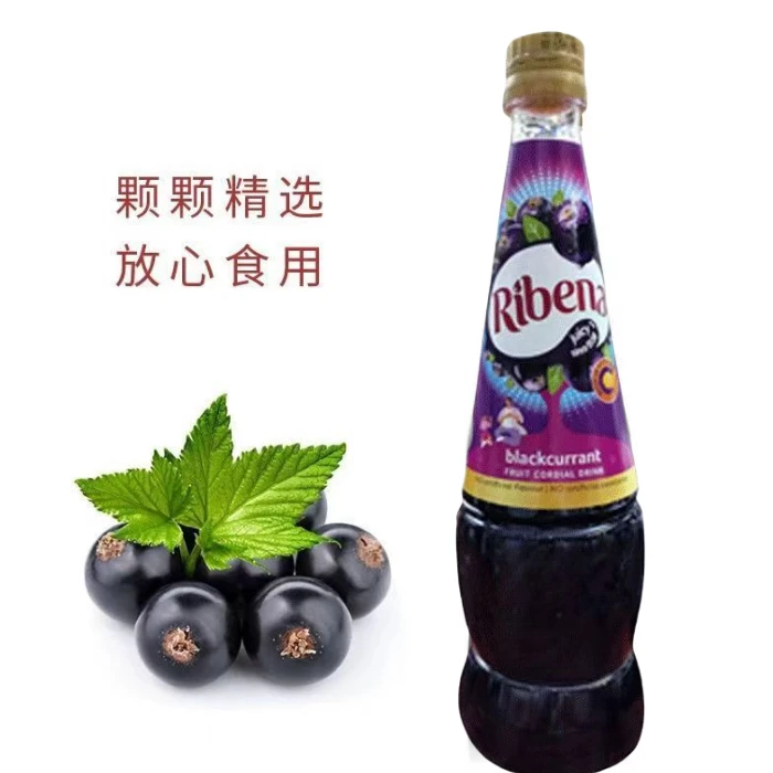 利宾纳黑加仑子汁浓缩饮料葡萄汁原汁饮品奶茶店专用进口浓浆原浆