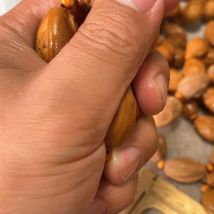 橄榄核手串/手链戏***风橄榄微瑕2号