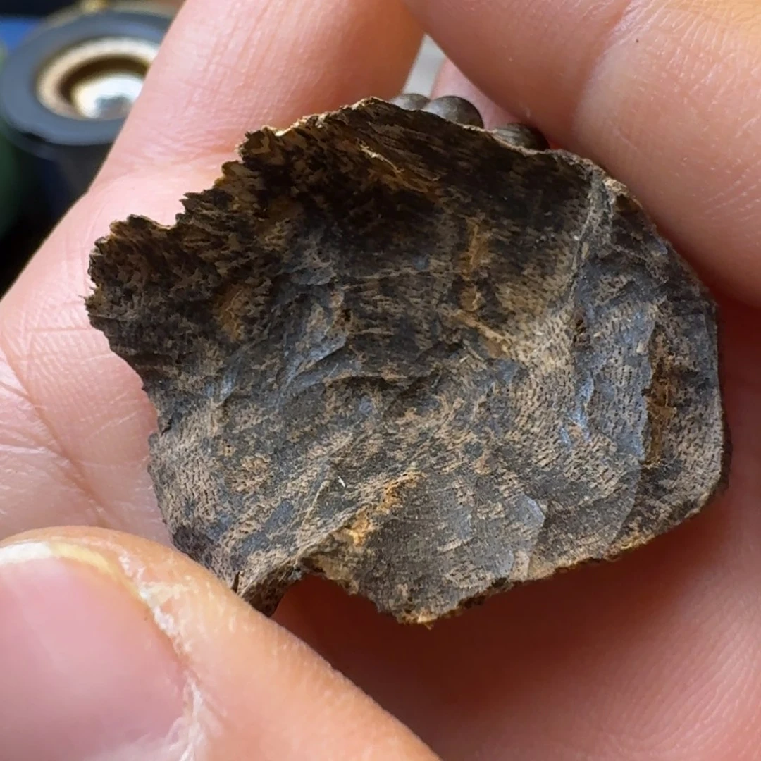 树脂制品深圳梧桐山壳仔一个