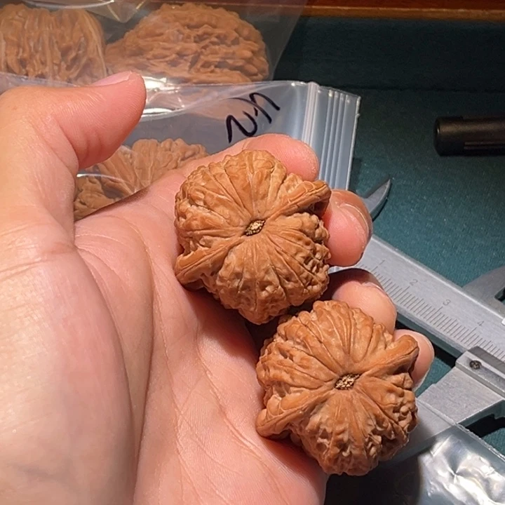 志***致把件文玩核桃36➕xun麒麟
