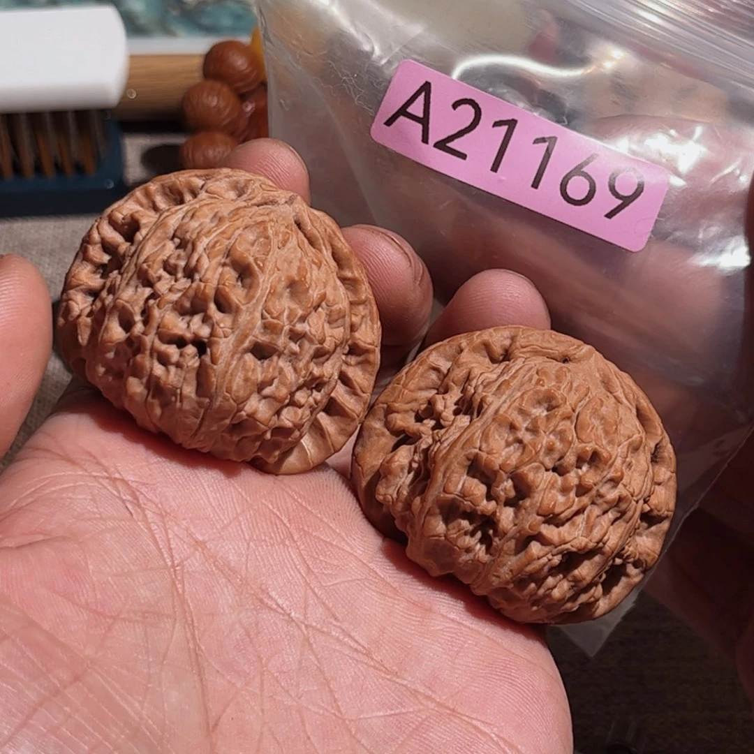 文玩核桃把件白狮子