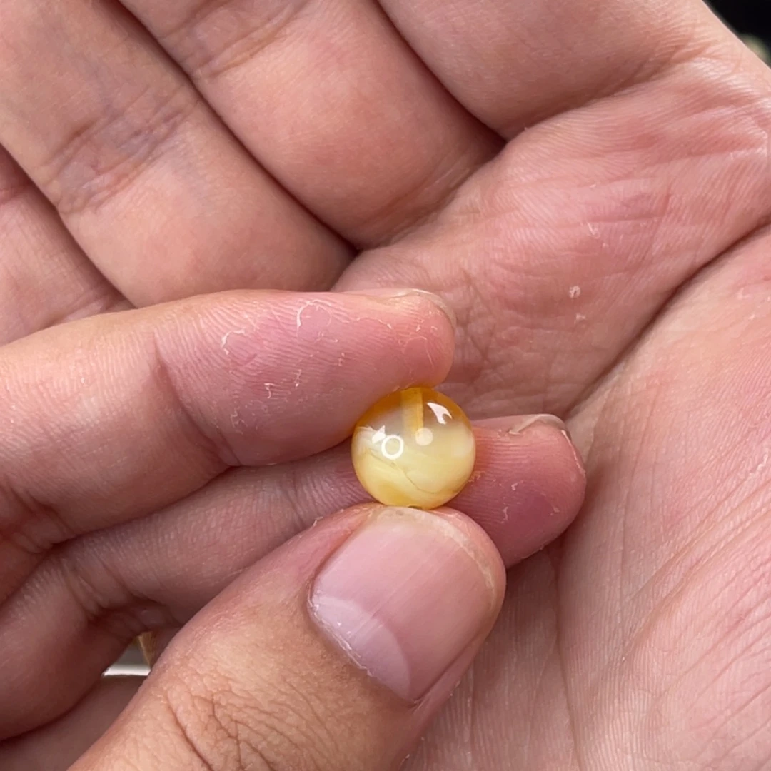 陈***美琥珀未镶嵌珠宝奇石