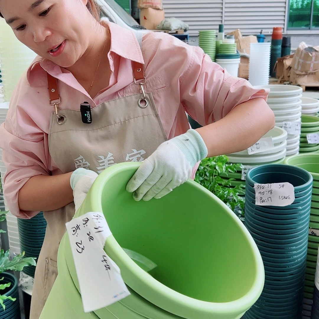 瑕疵球根盆4#果绿色3个无托
