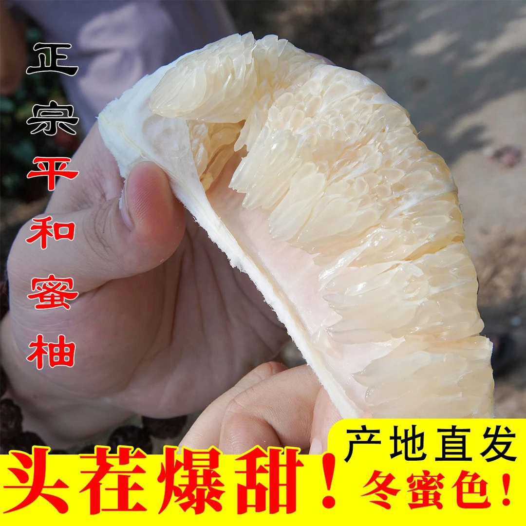 【原乡】平和传统铂金柚蜜柚当季新鲜水果皮薄肉厚清甜多汁孕妇可食