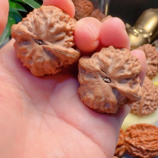 福利鱼籽纹文玩核桃
