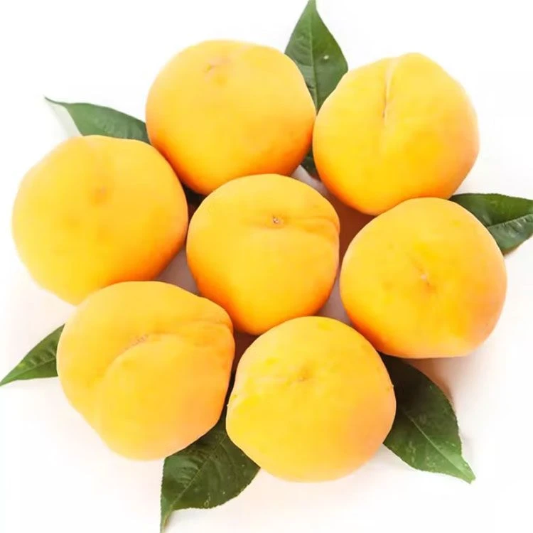 黄桃 约450-500g黄桃同城送
