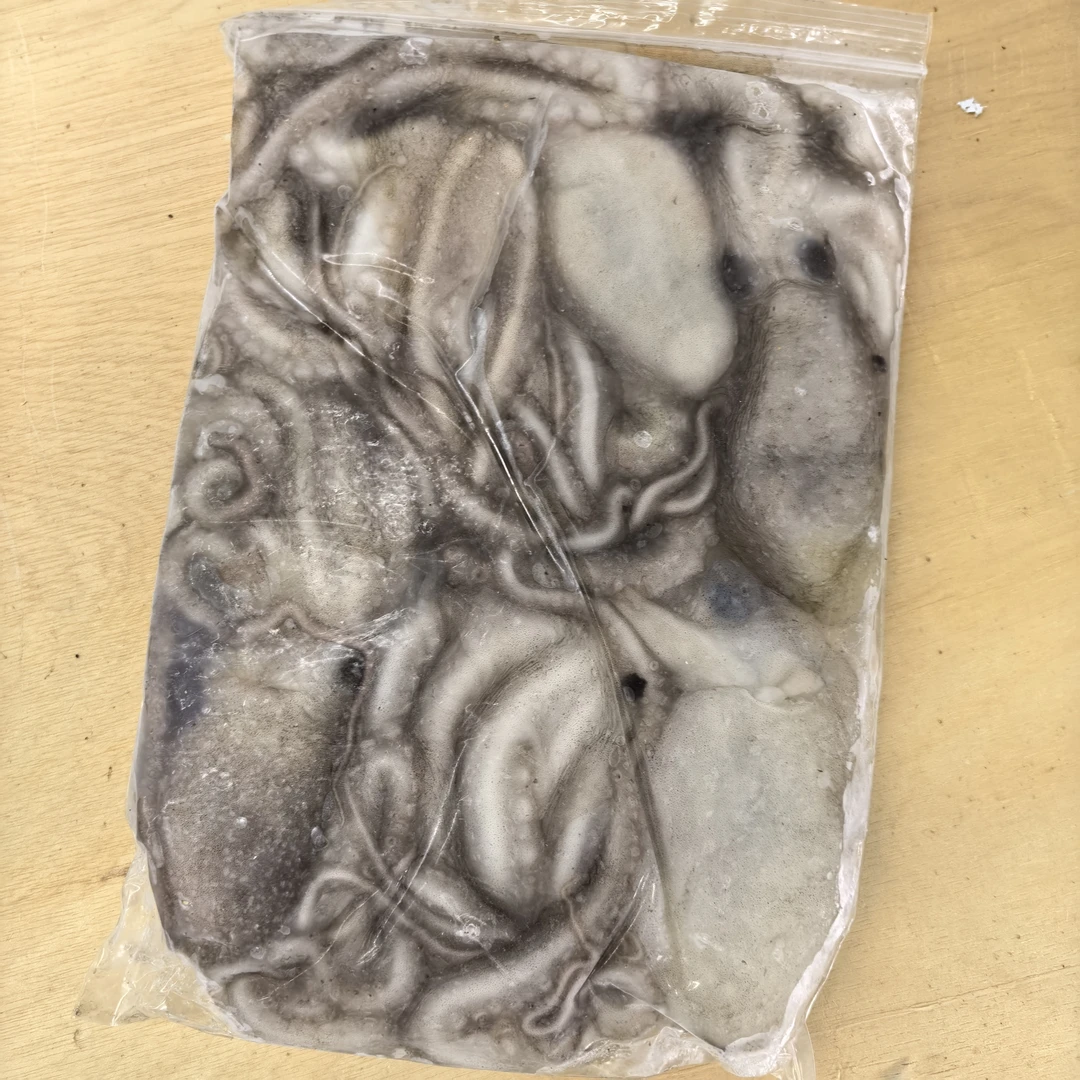 红岛当地锁鲜冷冻八带