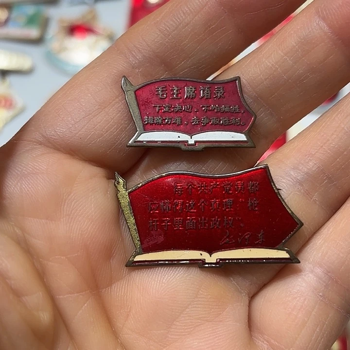 ***其他普通金属纪念章