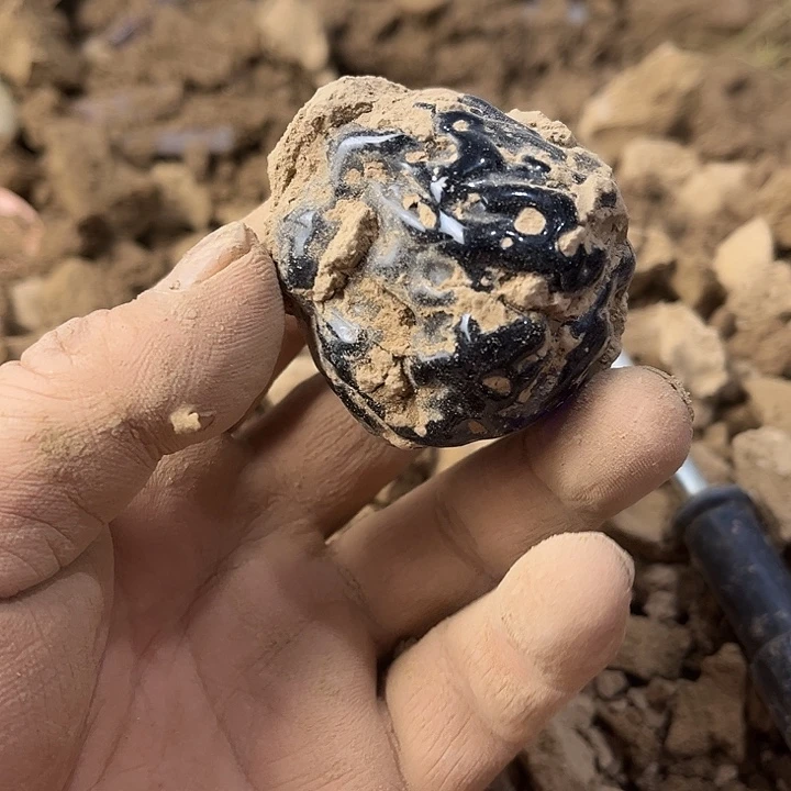 瓷片瓷器紫砂壶瓷器