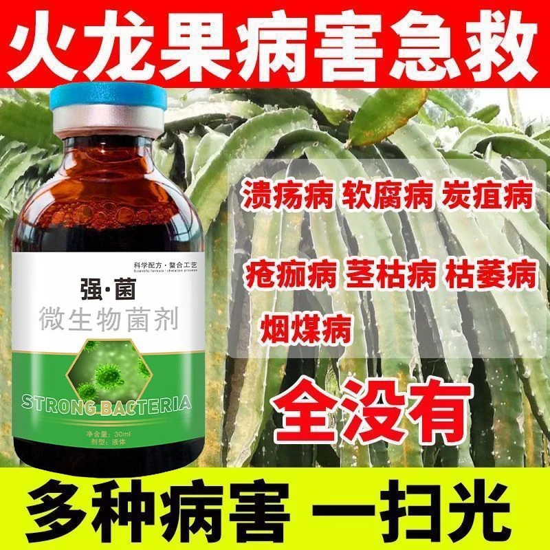 火龙果软腐病疮痂病菌剂正品药火龙果溃疡病专用药黄斑病病专用