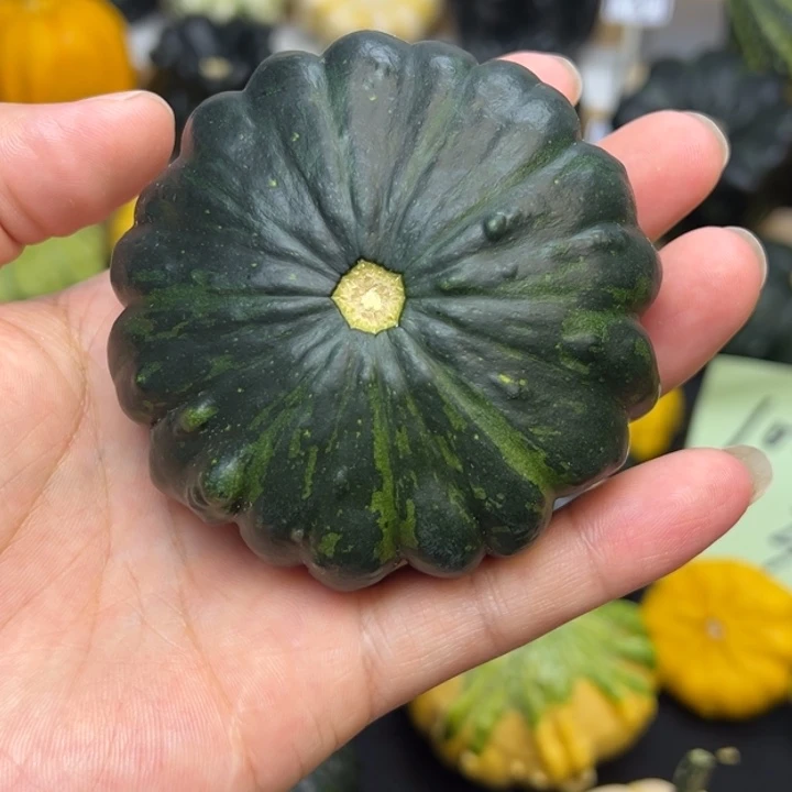 古*福利福利福利福利