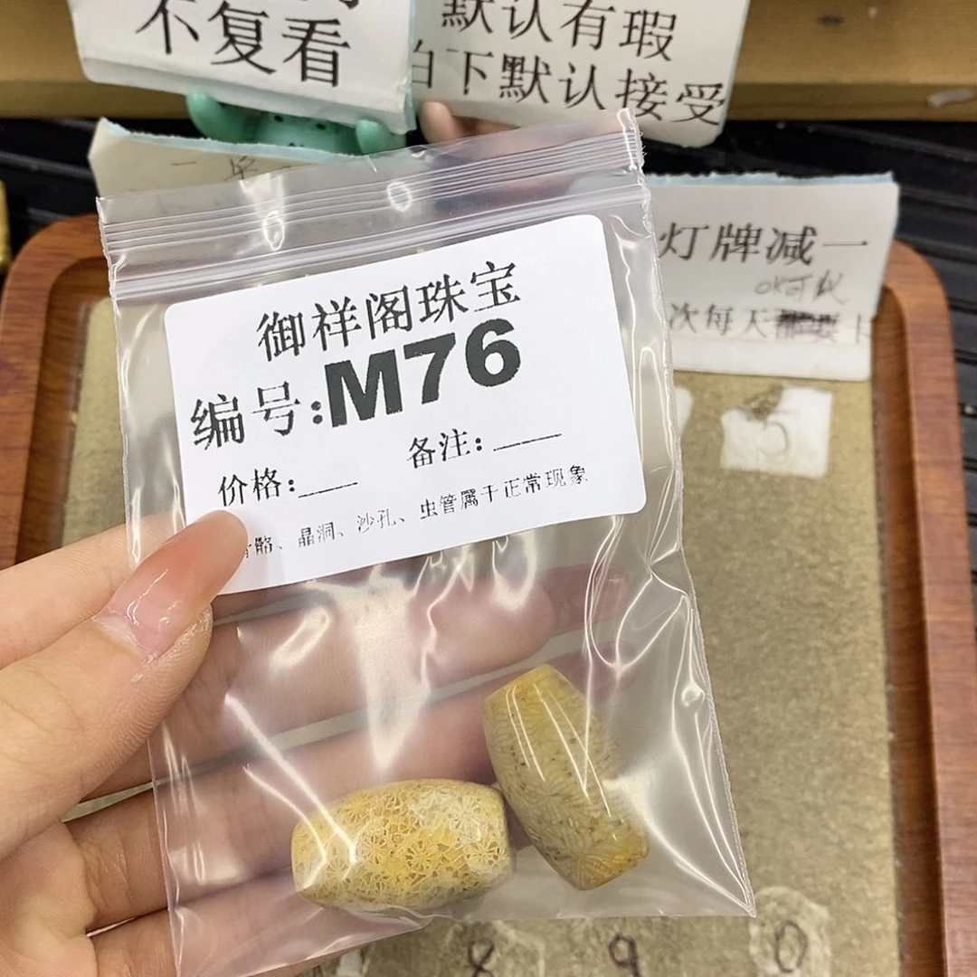 硅化珊瑚（珊瑚玉）未镶嵌颈饰啧*