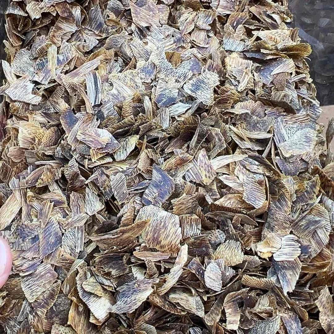 沉香手把件海南老白奇金丝蜜结沉水皮油切片一份30克