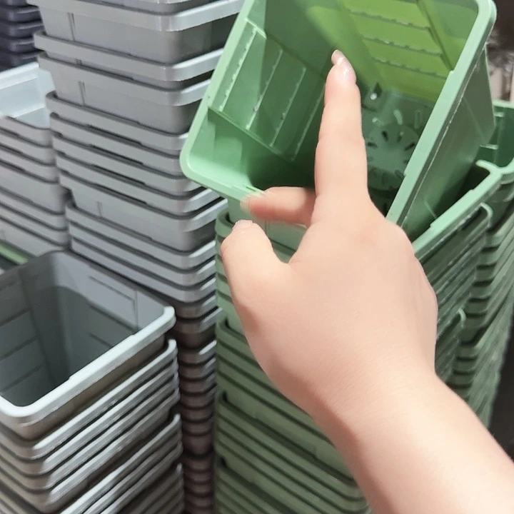 编号103果绿无托10个