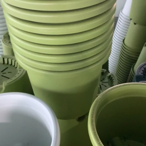 树脂2加果绿无托10个