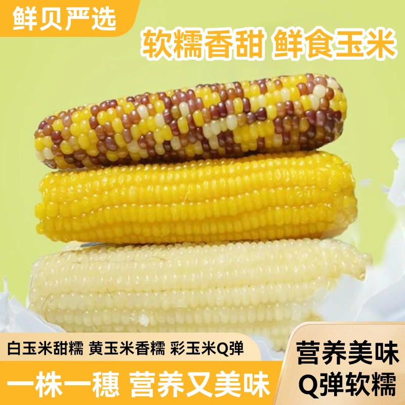禾久黄糯玉米白糯玉米糯甜新鲜现摘香甜可口开袋即食营养粘玉米