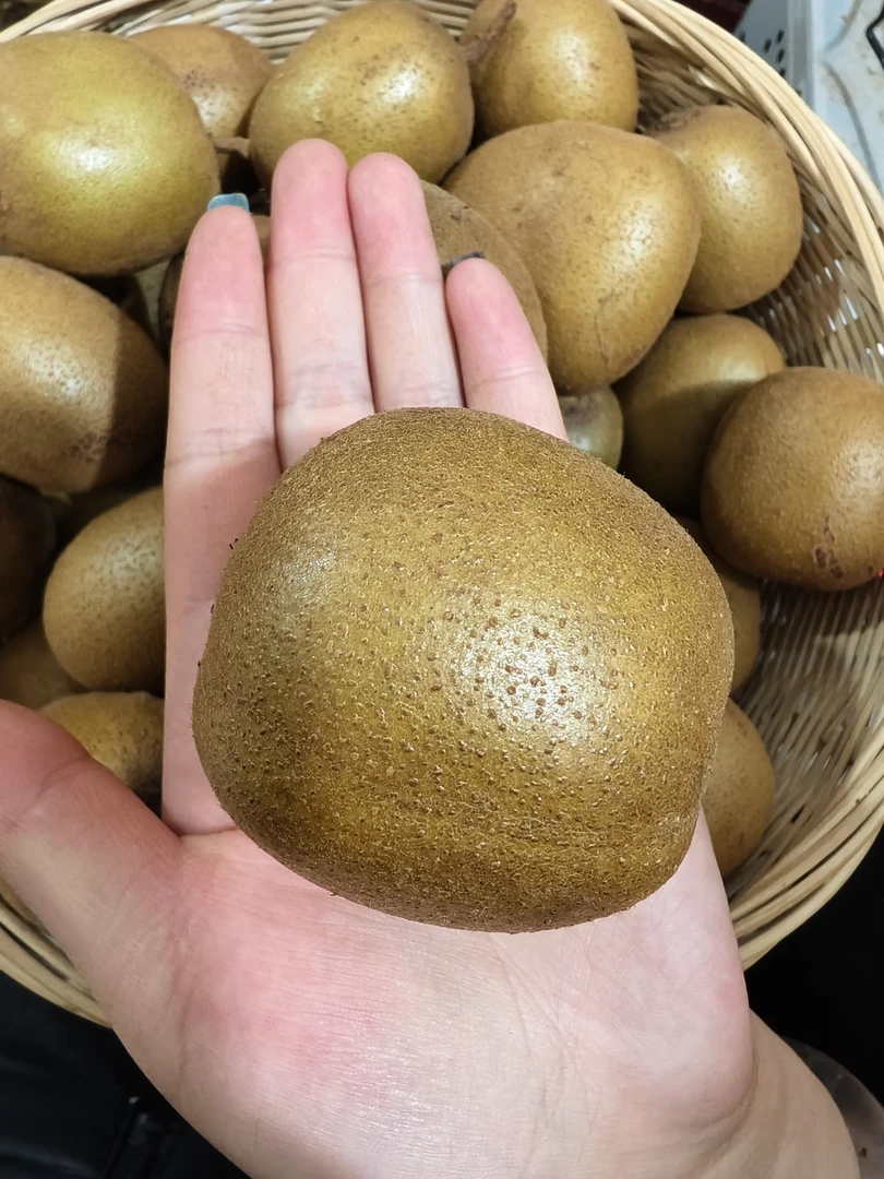 宣威农家猕猴桃新鲜应季黄心水果香甜多汁