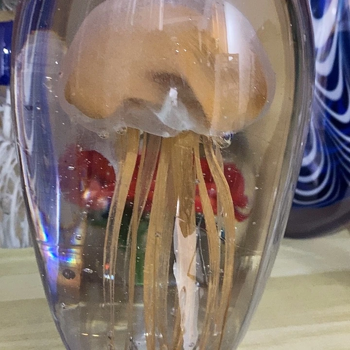微瑕156652353655666665666