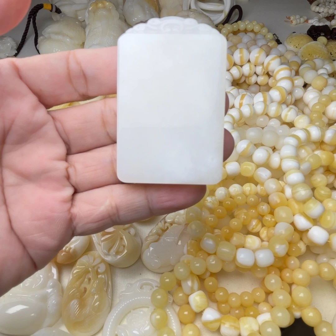 清***半贝壳非金属天然贝壳