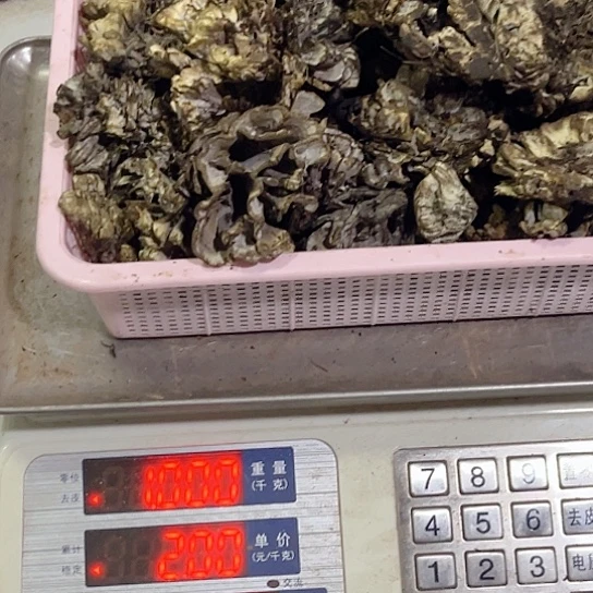 鸡纵超好吃中国大陆